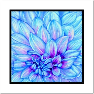 Chrysanthemum in Blue Posters and Art